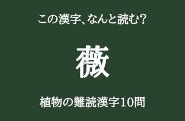 「薇」この漢字はなんて読むか分かりますか？　植物の難読漢字10問！