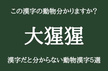 「大猩猩」この漢字の動物は何だか分かりますか？　動物の難読漢字5選