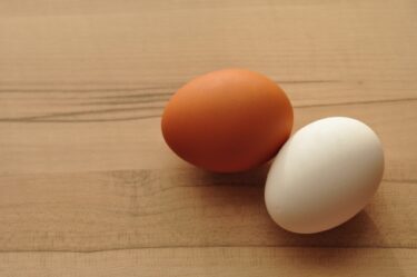 白い卵と赤い卵の違いってなに？殻の色の違いで栄養価にも違いが出るのか