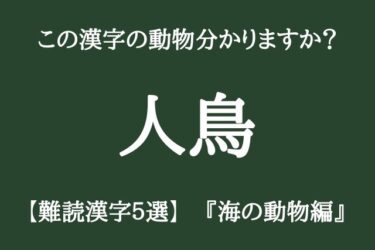 【難読漢字】「人鳥」「魚虎」この漢字読める？？『海の動物編』